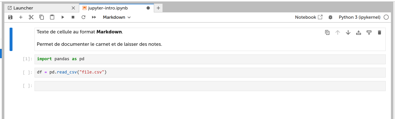 Types de cellules Jupyter